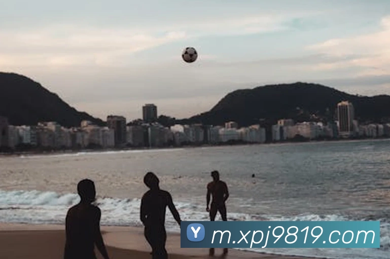 澳门新葡京官方入口服务体系